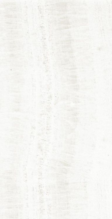 OL Onyx White Polished 12 x 24